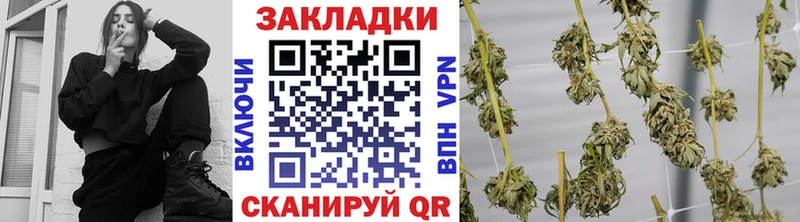 Где продают наркотики Кировск Cocaine  ГАШИШ  СК  Бошки Шишки 
