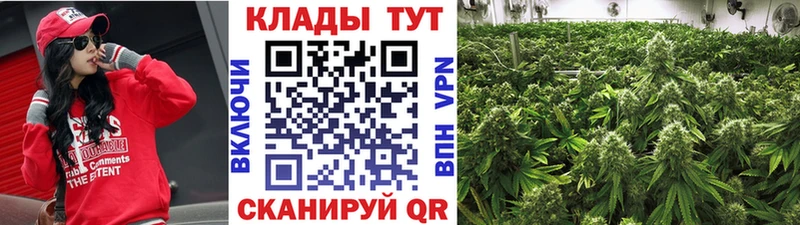 Галлюциногенные грибы Кировск