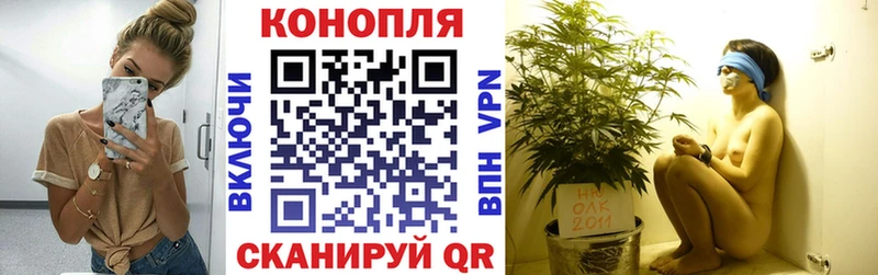 наркота  Кировск  Марихуана THC 21% 